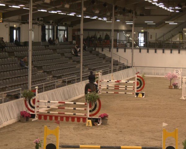 Reitturnier Verden 2025