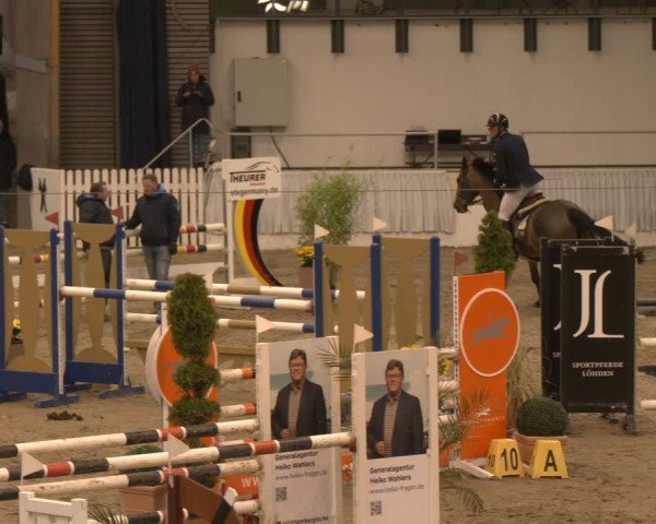 Reitturnier Verden 2025