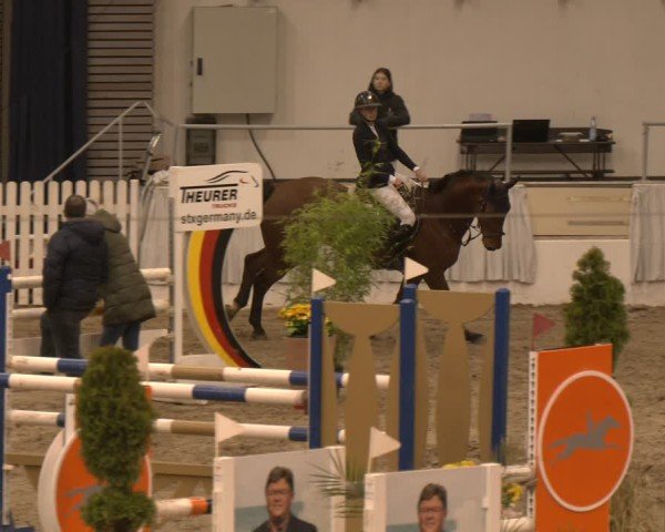 Reitturnier Verden 2025