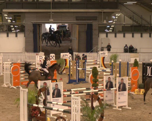 Reitturnier Verden 2025