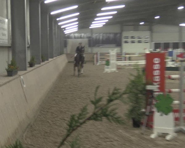 Reitturnier Ahaus 2021