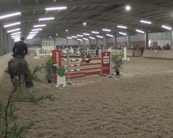 Reitturnier Ahaus 2021