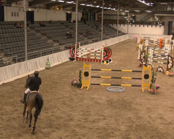 Reitturnier Verden 2025