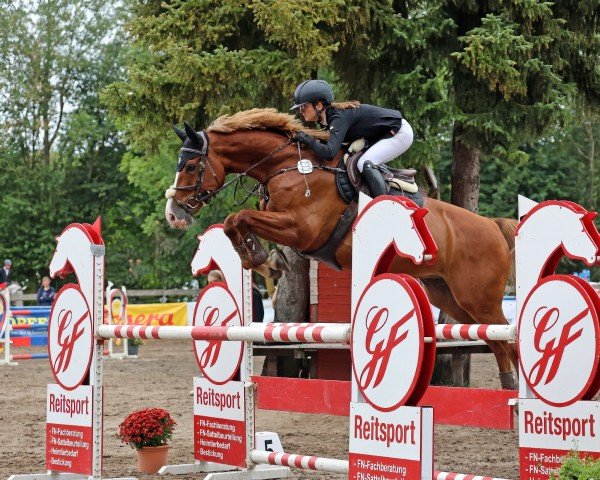 jumper Izmir 9 (KWPN (Royal Dutch Sporthorse), 2013, from Sisley de La Tour Vidal)