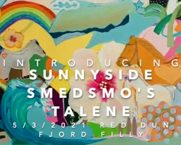 Video von Sunnyside Smedsmo's Talene