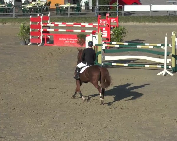 Reitturnier Arnsberg-Voßwinkel 2013