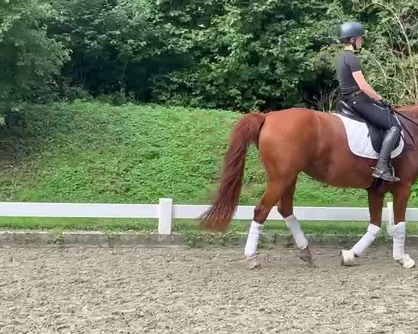 Video von Delicia