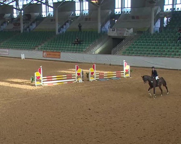 Reitturnier Kreuth/Opf. 2025
