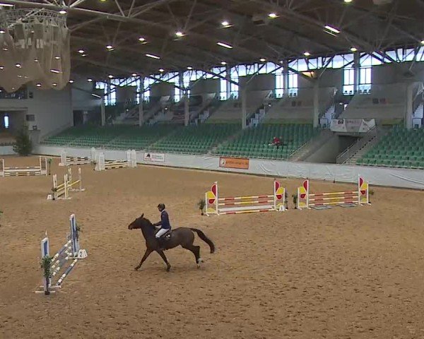 Reitturnier Kreuth/Opf. 2025