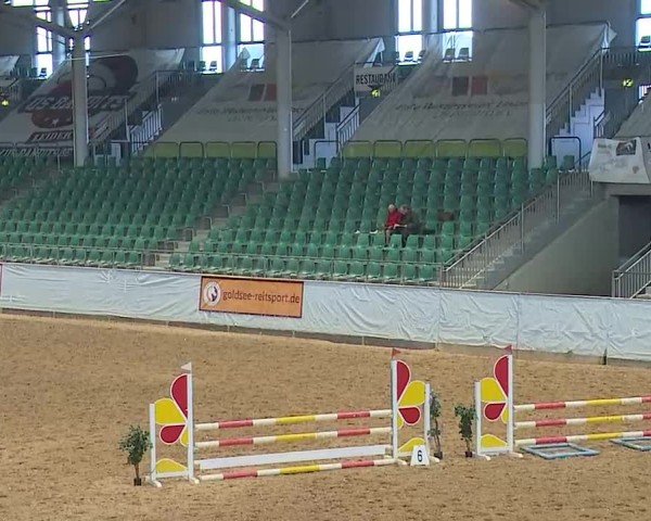 Reitturnier Kreuth/Opf. 2025
