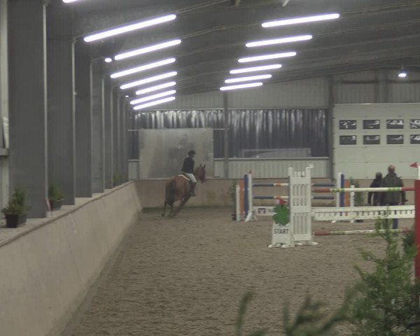 Reitturnier Ahaus 2021