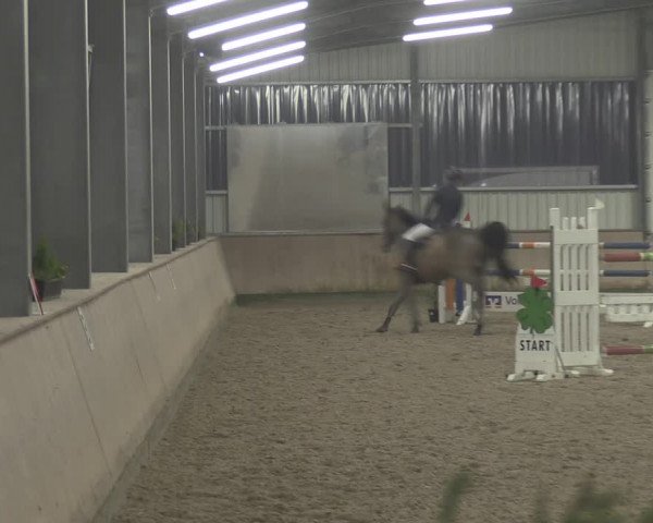 Reitturnier Ahaus 2021