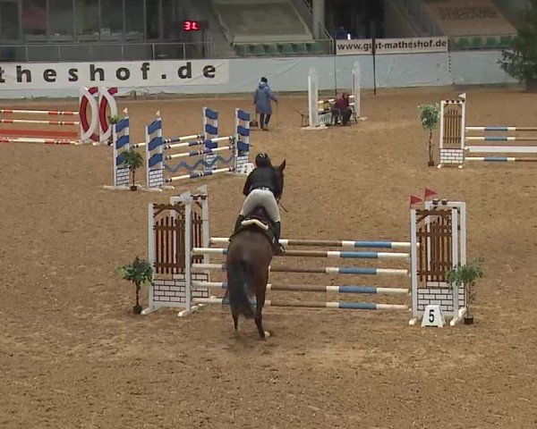 Reitturnier Kreuth/Opf. 2025