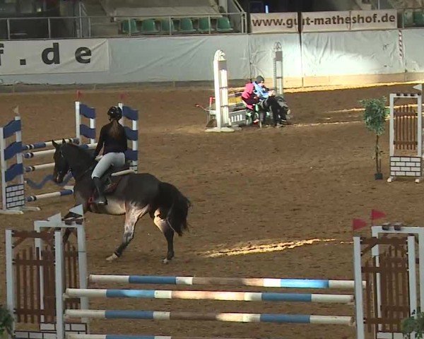 Reitturnier Kreuth/Opf. 2025