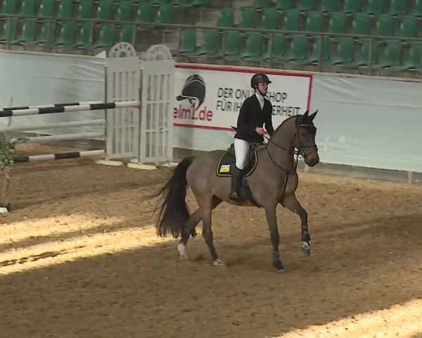 Reitturnier Kreuth/Opf. 2025