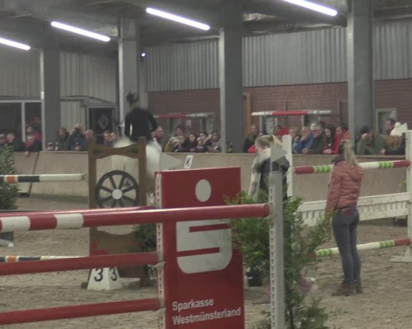 Reitturnier Ahaus 2021
