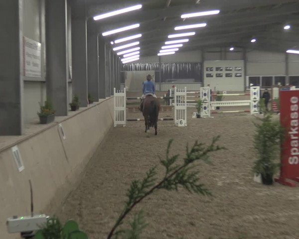 Reitturnier Ahaus 2021