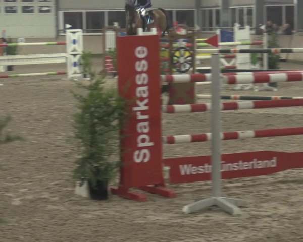 Reitturnier Ahaus 2021