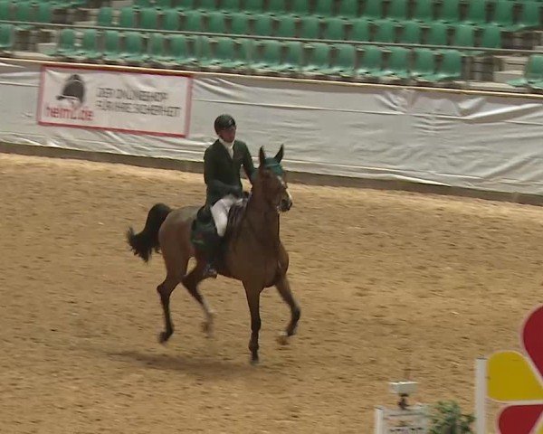 Reitturnier Kreuth/Opf. 2025