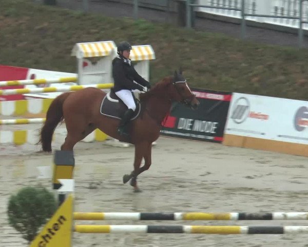 Voßwinkeler Reitertage 2013