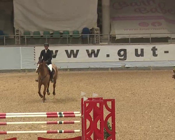 Reitturnier Kreuth/Opf. 2025