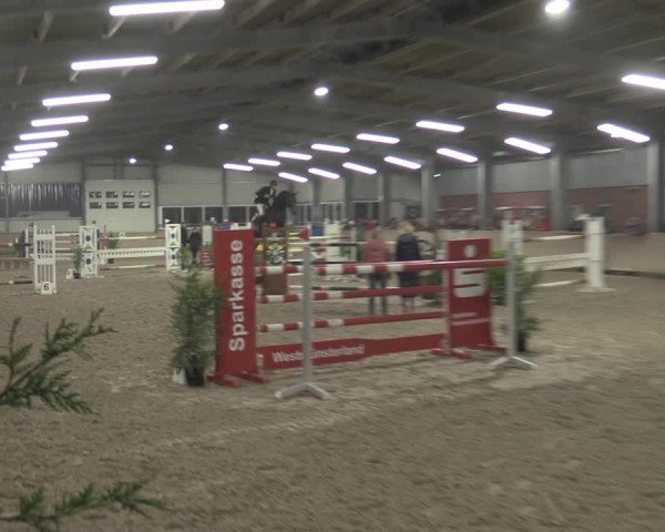 Reitturnier Ahaus 2021