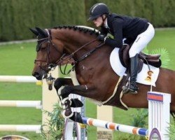 Springpferd Elaisa P (Deutsches Sportpferd, 2018, von Eldorado van de Zeshoek)