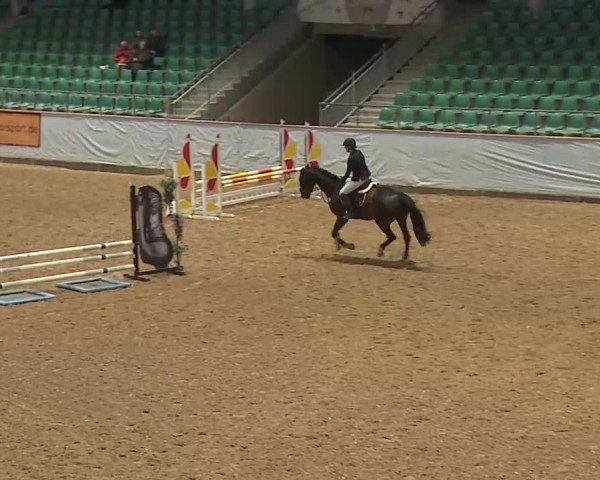 Reitturnier Kreuth/Opf. 2025
