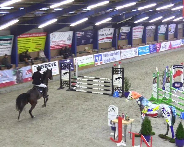 Reitturnier Großenwiehe - JTN 2025