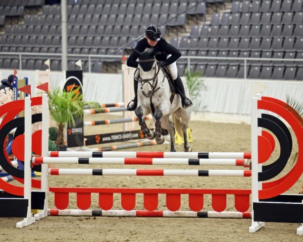 Springpferd Kasanovas Deern (Deutsches Sportpferd, 2019, von Kasanova de La Pomme)