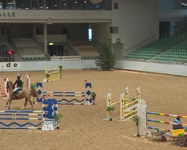Reitturnier Kreuth/Opf. 2025