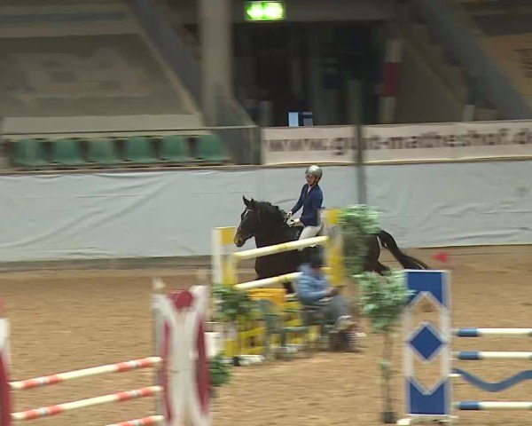 Reitturnier Kreuth/Opf. 2025