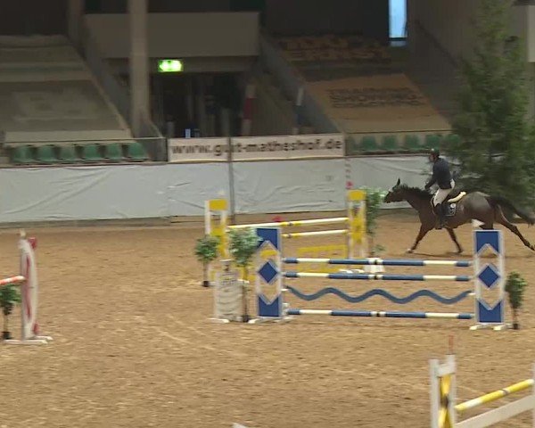 Reitturnier Kreuth/Opf. 2025