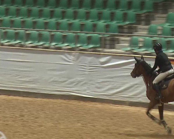 Reitturnier Kreuth/Opf. 2025