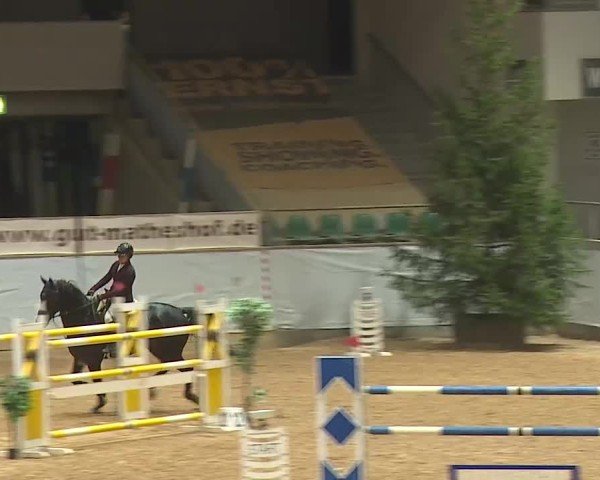 Reitturnier Kreuth/Opf. 2025