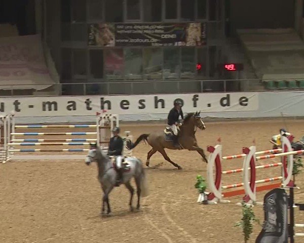 Reitturnier Kreuth/Opf. 2025