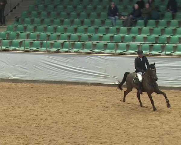 Reitturnier Kreuth/Opf. 2025