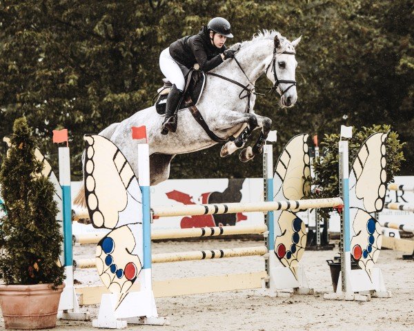 broodmare Patricia J (Mecklenburg, 2016, from Pasco)