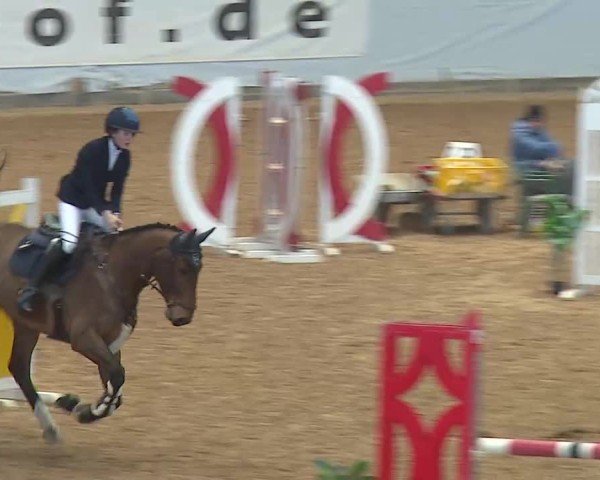 Reitturnier Kreuth/Opf. 2025