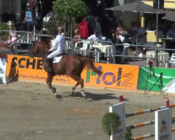 Voßwinkeler Reitertage 2013