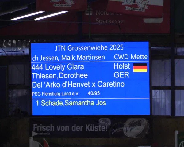 Reitturnier Großenwiehe - JTN 2025