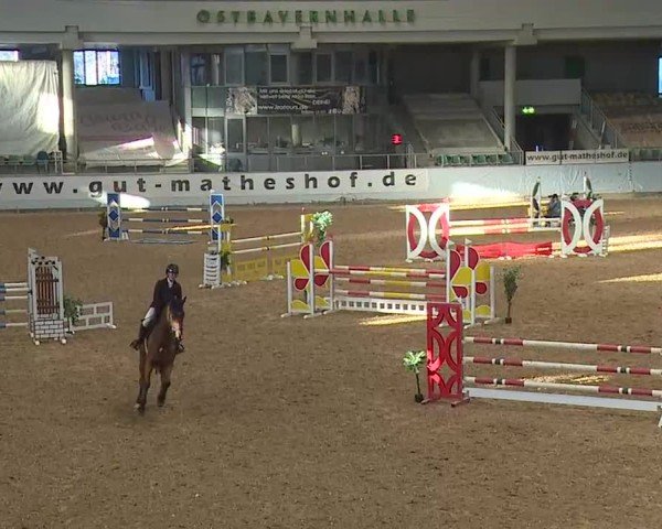 Reitturnier Kreuth/Opf. 2025