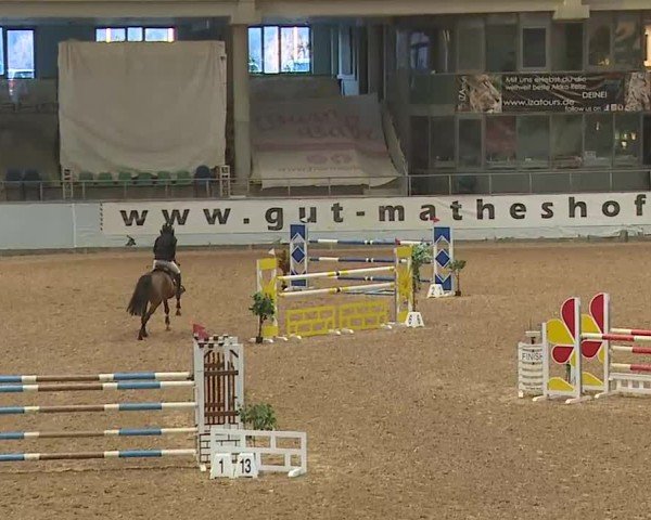 Reitturnier Kreuth/Opf. 2025
