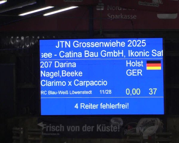 Reitturnier Großenwiehe - JTN 2025