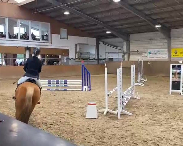 Video of Viabella 3