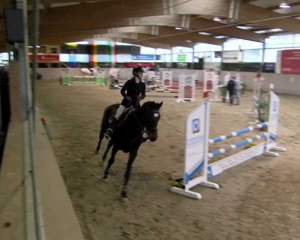Reitturnier Velen 2025