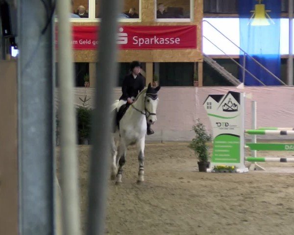 Reitturnier Velen 2025