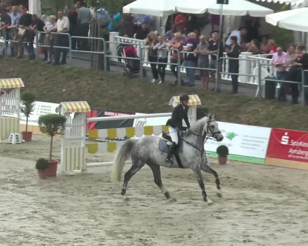 Voßwinkeler Reitertage 2013