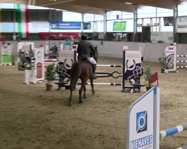 Reitturnier Velen 2025