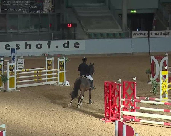 Reitturnier Kreuth/Opf. 2025